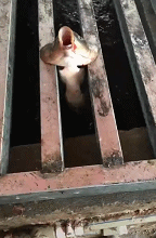 |搞笑动图:妹子,你这是相亲成功了吗?