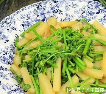 家常小炒四道,超好吃超简单,还等啥!