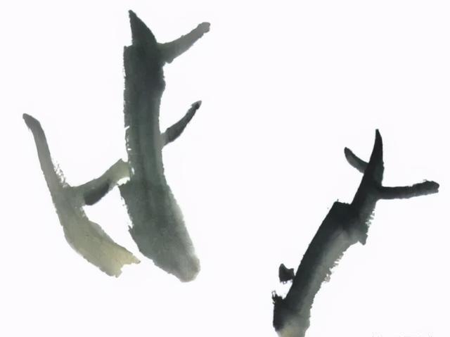  形态|紫、红牡丹花头写意画法与形态参考