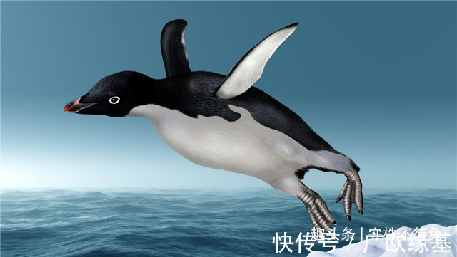 药片|23个冷知识学校里不会教,或许只有少数人知晓