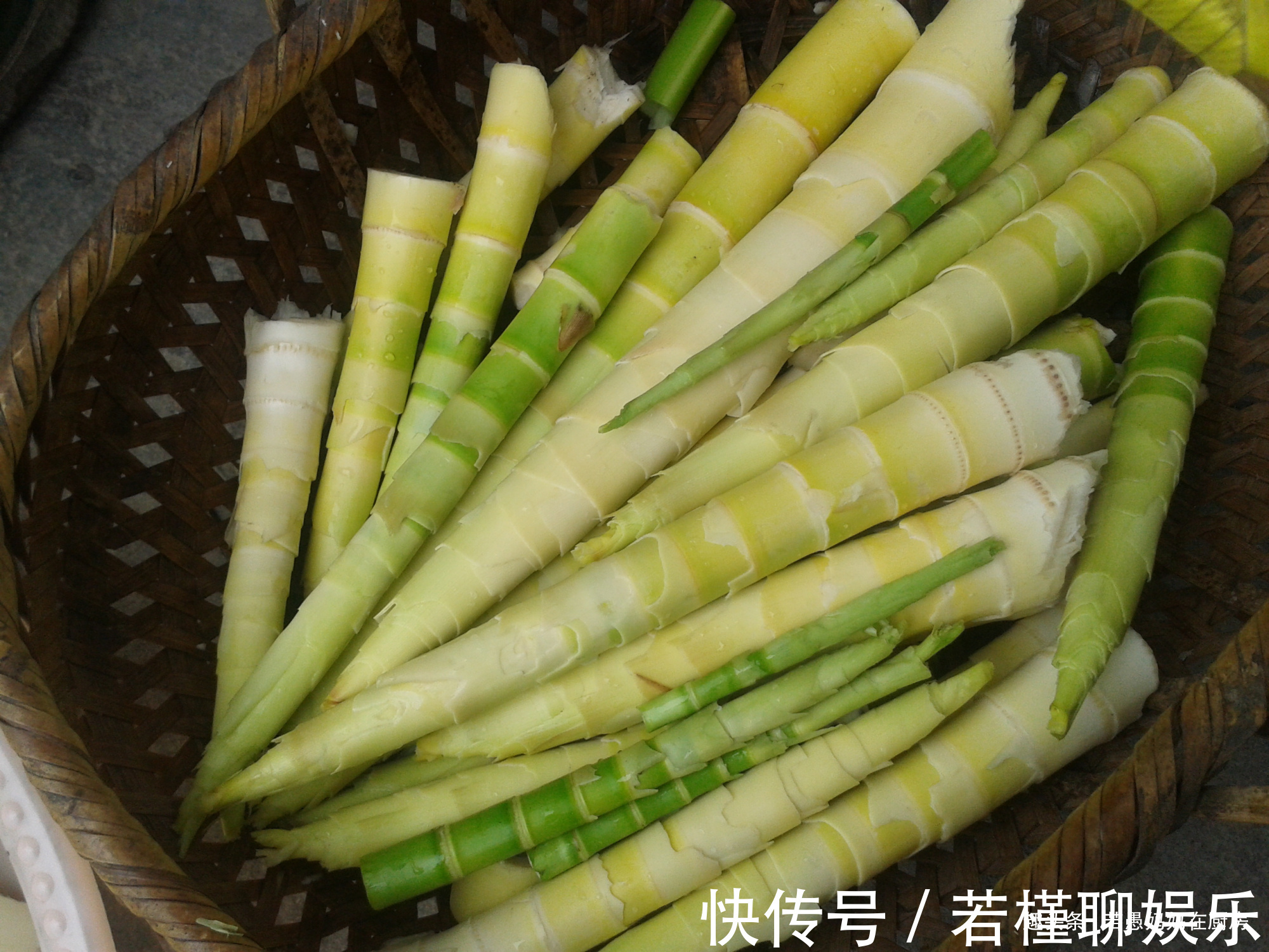 若愚|春季必吃的8种野菜，鲜嫩美味有营养，错过又得等一年