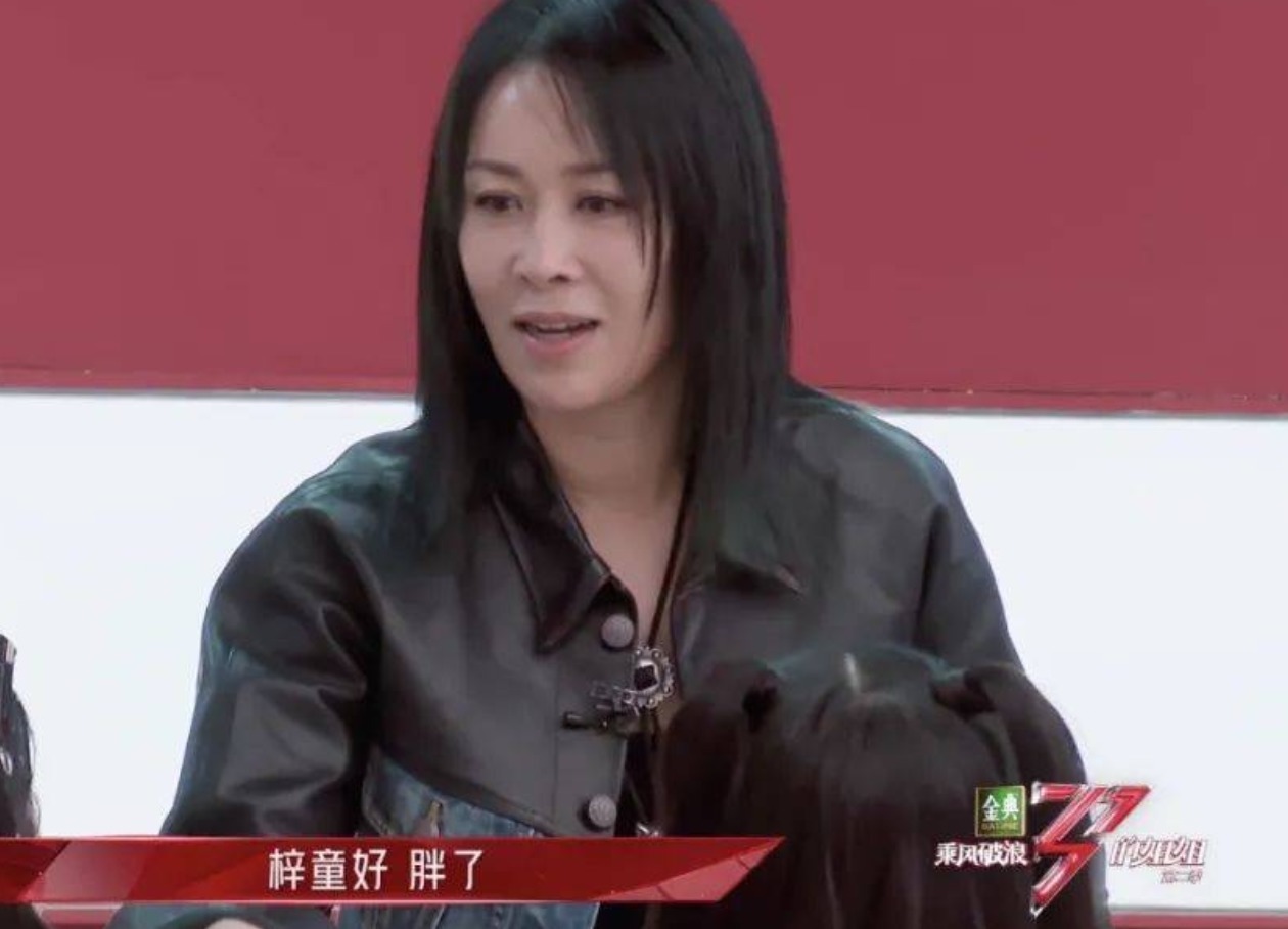 那英向杨紫道歉,说毛阿敏土、示爱蔡国庆遭拒的她又得罪人了