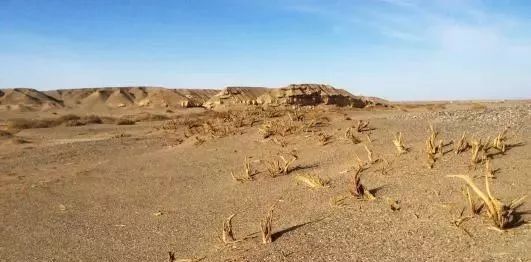 国家|为什么古代总喜欢说攻破楼兰，楼兰究竟是个什么地方