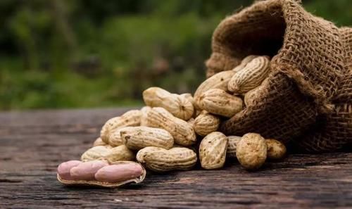 高脂蛋白血症|生花生和熟花生，哪个更营养？医生：5类人最好少碰，别不当回事