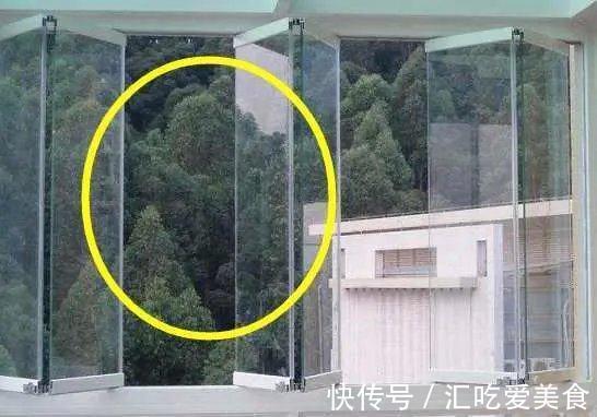 优点|你家封阳台的方法早已过时,现在流行这样封,安全又实用!