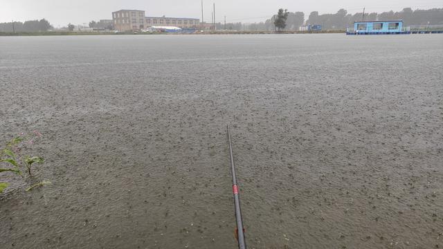 晚秋钓鱼，三种钓位不下竿，三种天气不钓鱼，这种天气能爆护。