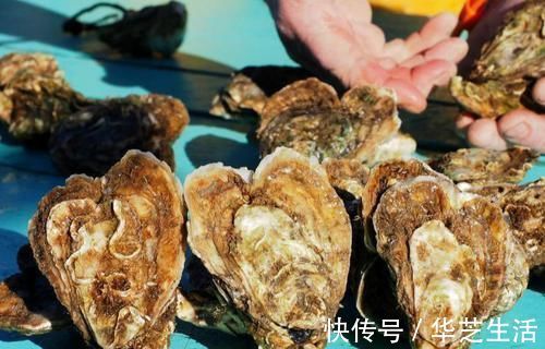 前列腺炎|前列腺炎症总反复？多吃这6种食物，消炎抗菌，前列腺更健康