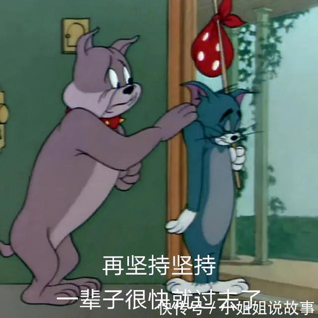 |搞笑表情包更新:再坚持坚持,一辈子很快就过去了