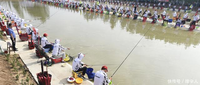 垂钓的钓竿|野钓,黑坑和竞技钓竿的核心在于垂钓特性---皇禾钓具