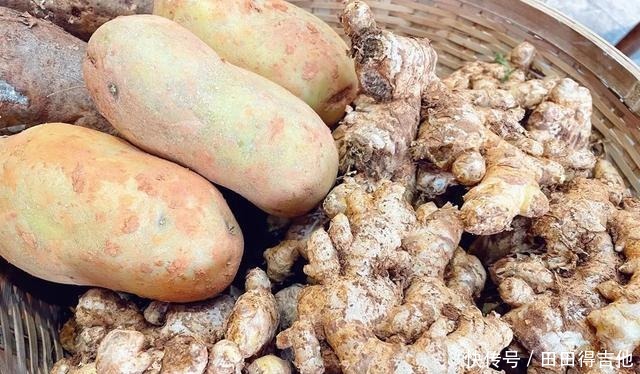 鲜!渌口这家新开的河边鱼店不容错过!