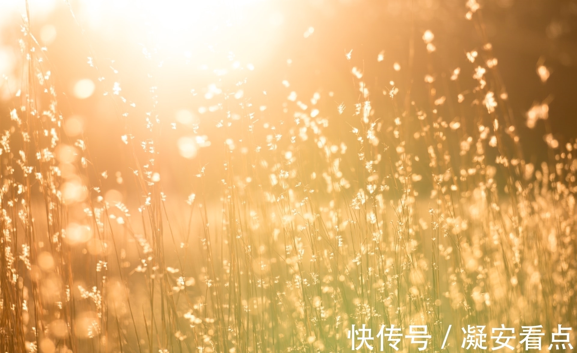 眼轴|近视真的是因为用眼疲劳吗?科学家表示真相另有隐情