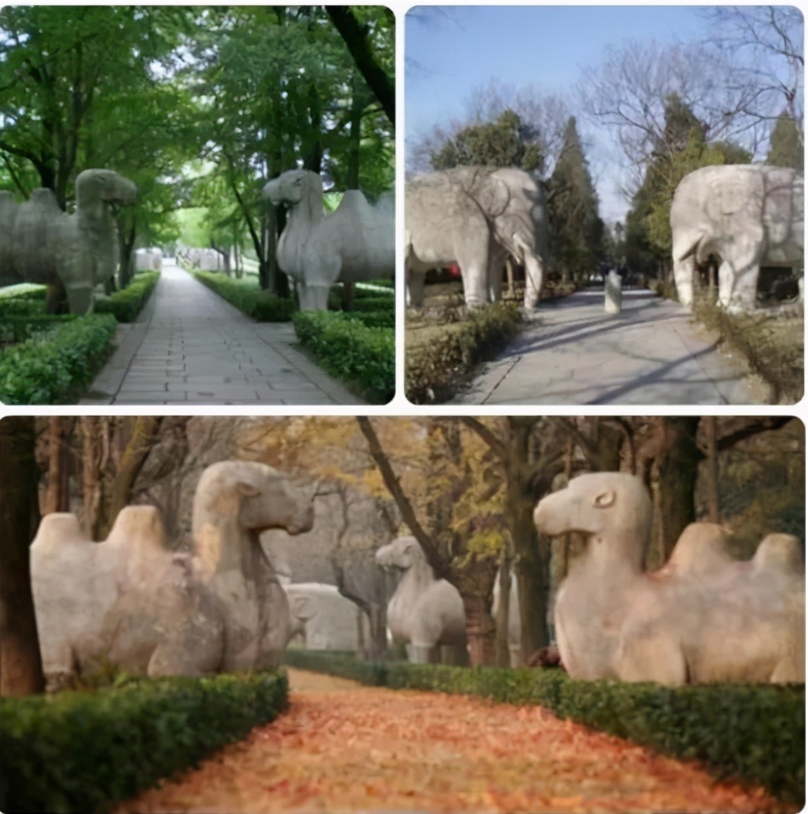 吃货南京行，四天三夜尝遍南京美食