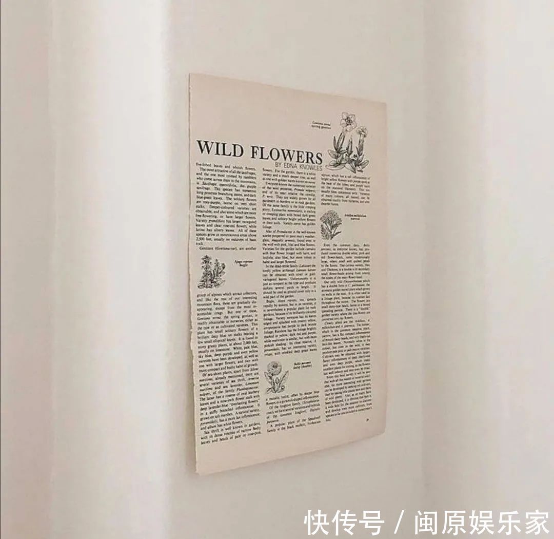 村上春树|神仙·封面丨高情已逐晓云空,不与梨花同梦