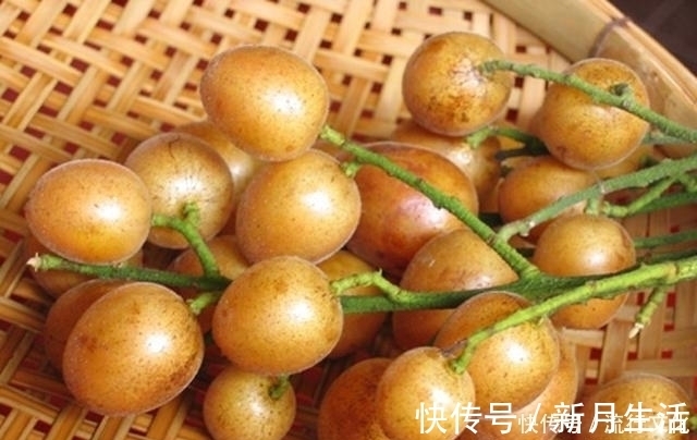 氨基酸|晚上当零食吃几颗,坚持一段时间,化痰止咳,健脾理气,不妨试试