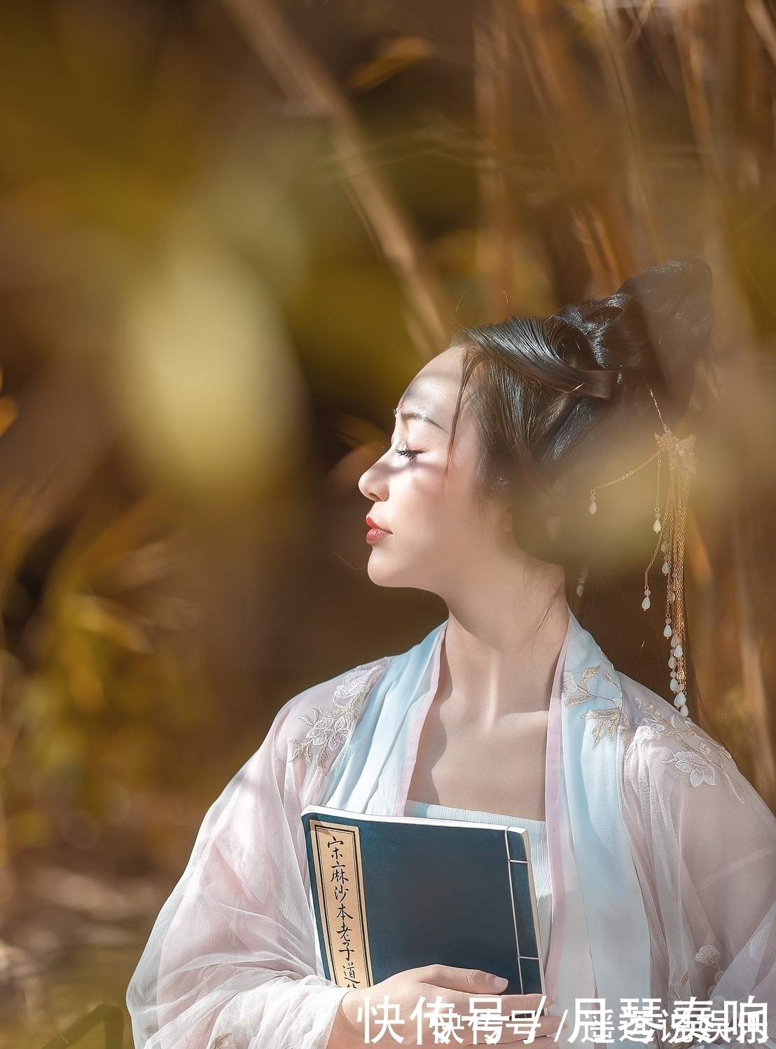 小楼|诗·十二首丨凉风多日筛斜雨，素月几时醉小楼？