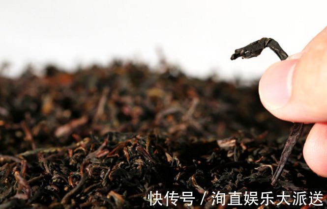 肠炎者|自己“晒干”的蒲公英,能当茶泡水喝吗有什么“禁忌”吗