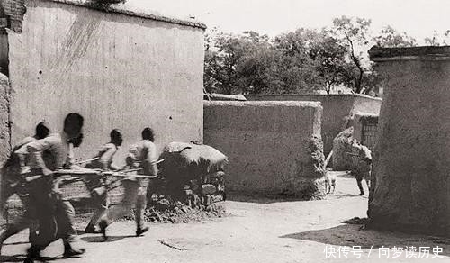 历史|抗战时八路军打鬼子历史照，向日军反冲锋，被打死的日军躺在地上