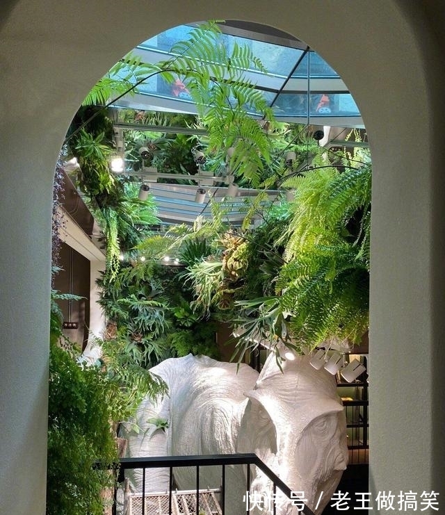 高晓松|他毕业后没上过一天班，参加《最强大脑》是为了玩，退赛后咋样了