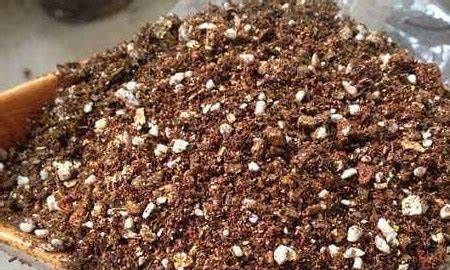 养花,坚持稀肥多施的原则,尽量不用碱性水浇花