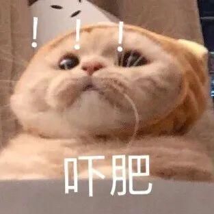 国货护肤：以前的我你爱理不理，现在的我你高攀不起！