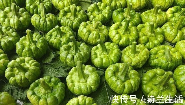 品种|它是一种“另类”南瓜,一斤6元,亩产一吨,种植它有前景吗!