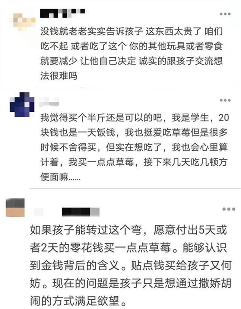 草莓|孩子想吃40元一斤的草莓被拒绝,引众网友热议:满足需求的度在哪