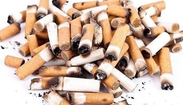 花芽|啤酒水浇花有技巧,里面加“4个小东西”,叶子油绿,花儿长疯了!