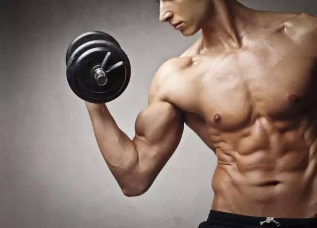 训练|为什么你坚持锻炼肌肉却不见增长的？