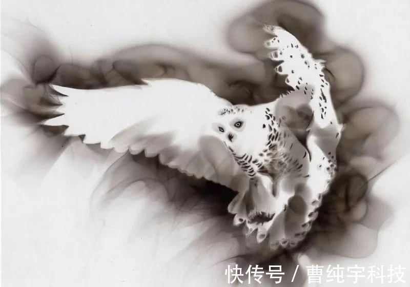 steven$理科生我们不画则已,一画就会让美术生都感到害怕