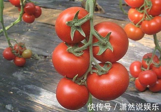 长寿|120岁长寿老人饮食平常多吃“3道红、3道白”,无需保健品