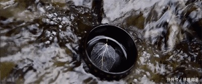 斗茶|木叶无双,吉州窑的一片叶子值千金(2)