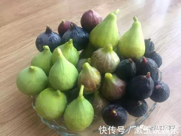 花友|这种水果枝条阳台一插，1年就挂果，果实太多压弯枝！
