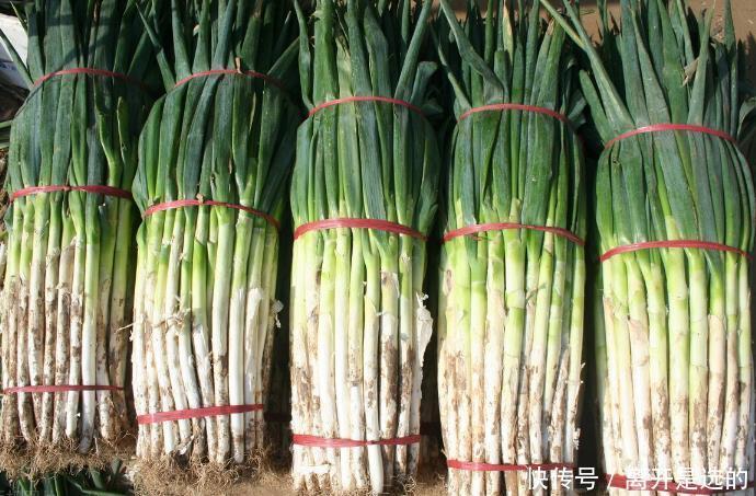 骨密度|骨科医生大葱和它这样用,增强骨密度,骨质疏松不攻自破