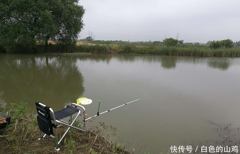 惊蛰到清明,大鲫鱼最好钓,选择这些天气出门,全天能上鱼!