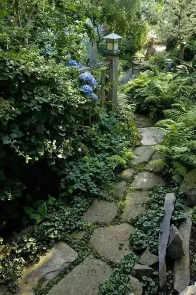 这才是花园应有的样子！
