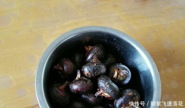 荸荠|“天然止咳剂”终被发现!简单煮一煮,隔天喝一碗,温暖一整冬!