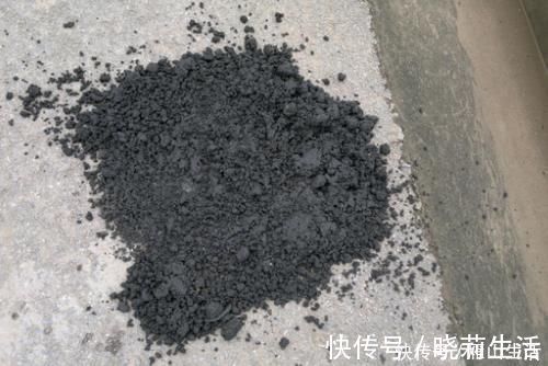 花卉|怎么调节、疏松土壤？巧用这2样，植物长势可轻松得到改善