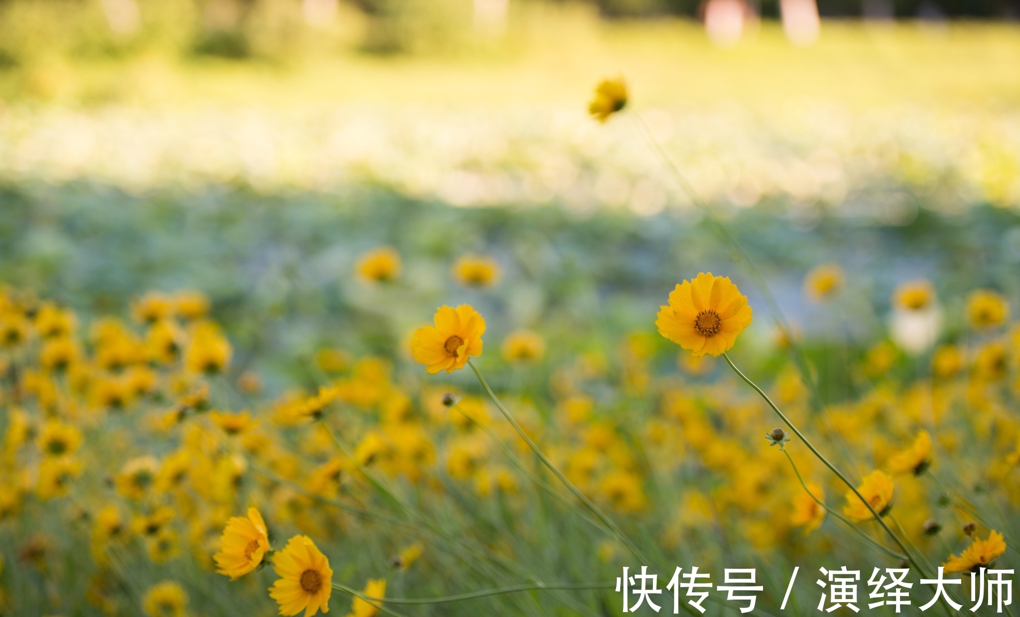 新媒体&不开心时,想想这五句话