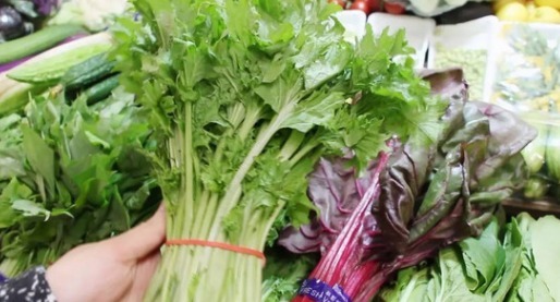 西葫芦西葫芦|女性养生 ,可常吃以下食物,补水润肤,有祛雀斑,滋养肌肤!