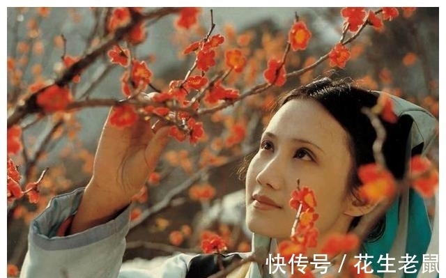 妙玉|贾宝玉究竟有何魅力,为何连出家人妙玉都对他心生爱慕?