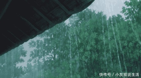 中老年|大脑健康测试题出炉过50岁的中老年都来测测,预防老年痴呆上