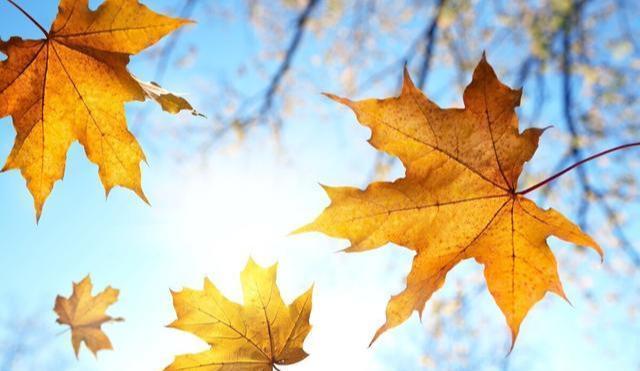 气温骤降,高血压如何预防心脑血管病发作?医