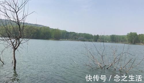 鲫鱼|冬季钓大鲫鱼，这五种钓位藏鱼多，遇上了别错过，连竿上鱼很轻松