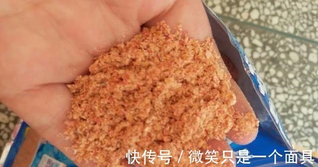 三伏天垂钓,九一八鱼饵这样配才叫真的好,大鲫鱼大鲤鱼挤满钓点!