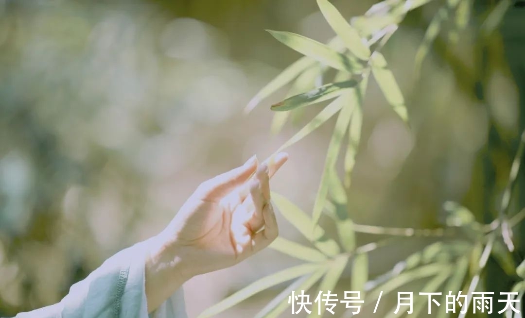 这首诗|李清照最“懒”的诗,一个“花”重复17次,却写尽了一生,绝了!