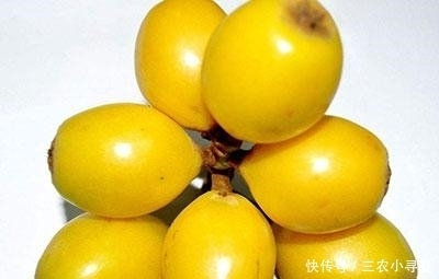 上火|枇杷是热性还是凉性, 吃枇杷上火吗