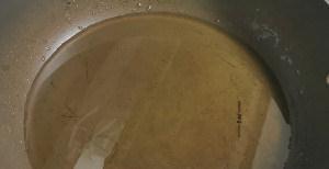 家常鸡肉菜谱，炒鸡，简单营养美味，比大盘鸡好吃，吃不够