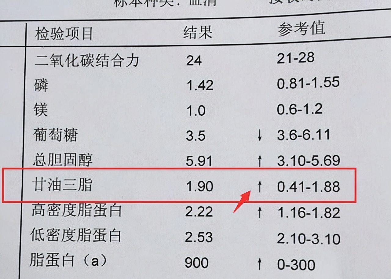 心脑血管|胆固醇的“清理工”找到了,经常吃,清除坏胆固醇,稳定血脂水平