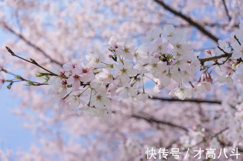 江月@100首春天唯美古诗词（值得收藏）