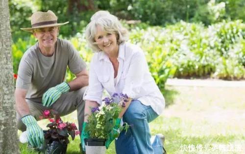 大脑|有趣的老年痴呆测试：章鱼中有一只小鱼，看你能在30秒之内找到吗